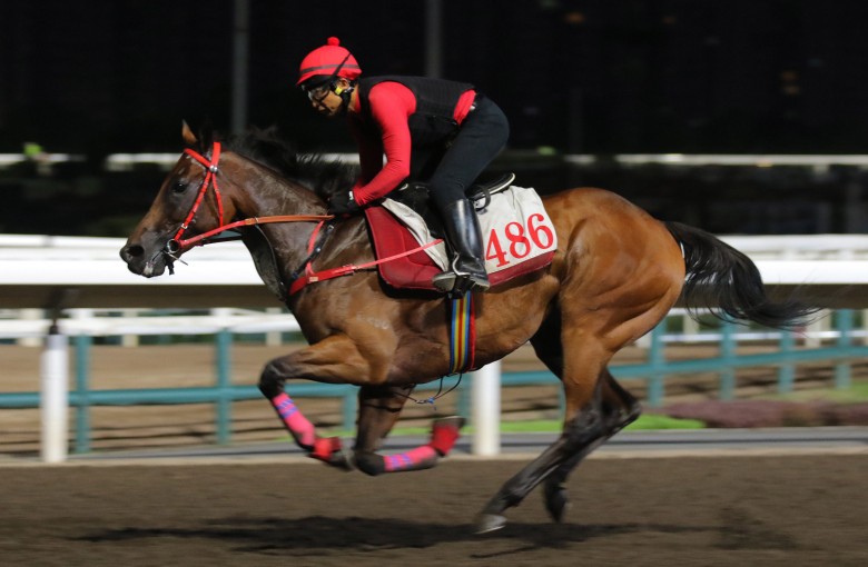 Romantic Warrior gallops at Sha Tin on Thursday morning. Photos: Kenneth Chan