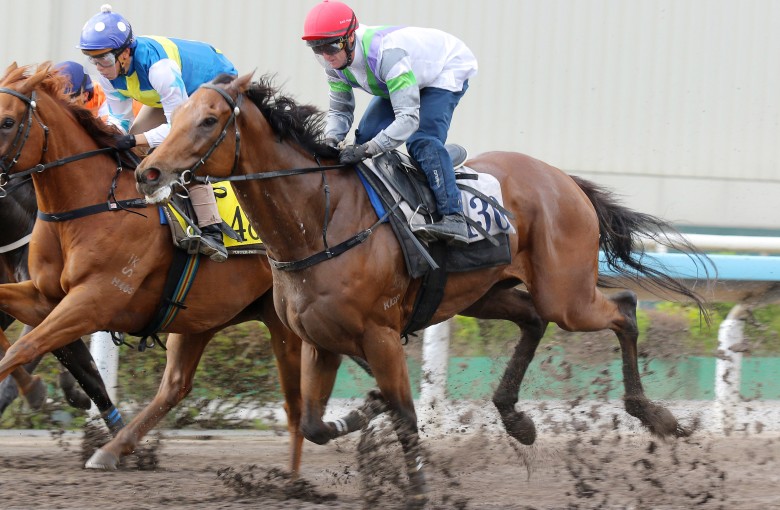 Light Years Charm (right) wins his trial at Sha Tin on Tuesday morning. Photos: Kenneth Chan