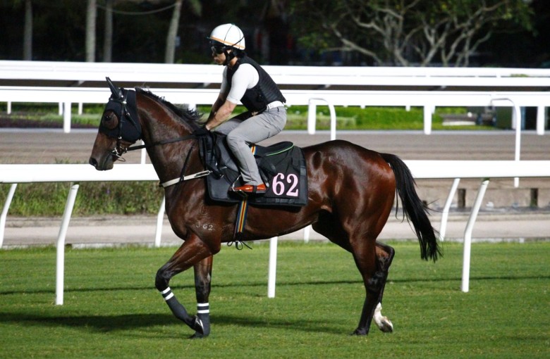 Ka Ying Rising gallops on the Sha Tin turf ahead of his trip to Australia. Photos: Kenneth Chan