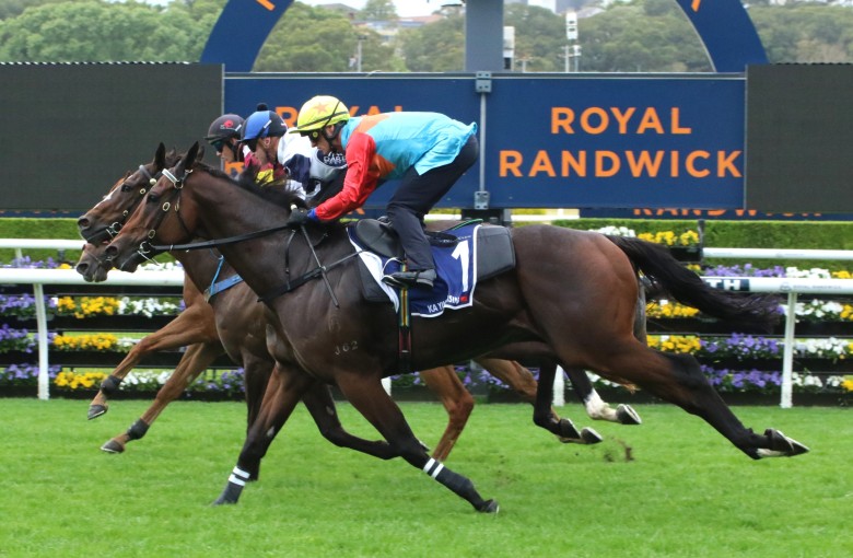 Ka Ying Rising finishes third in a 1,000m barrier trial at Randwick on Tuesday morning. Photo: HKJC