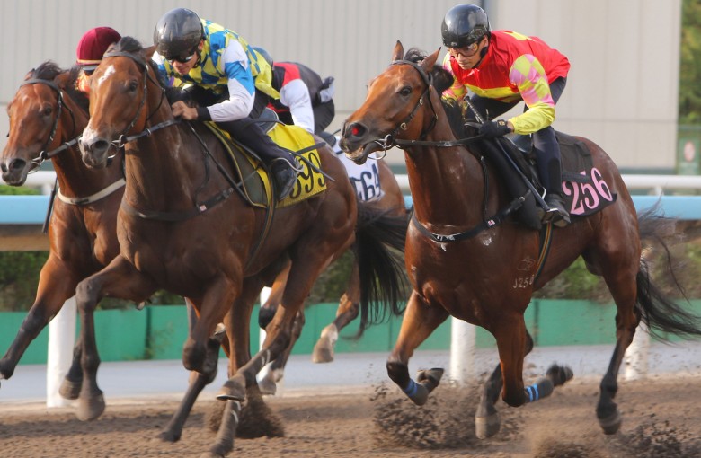 Alexis Badel guides My Wish (centre) to victory in a dirt trial last week. Photos: Kenneth Chan