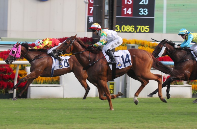 Sagacious Life (14) nails Steps Ahead (8) to win the Panasonic Cup. Photos: Kenneth Chan