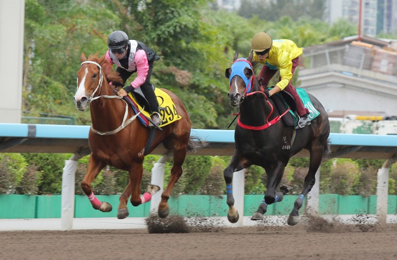 Lucky Sweynesse (right) finishes second to Beauty Waves in a dirt trial last week. Photos: Kenneth Chan