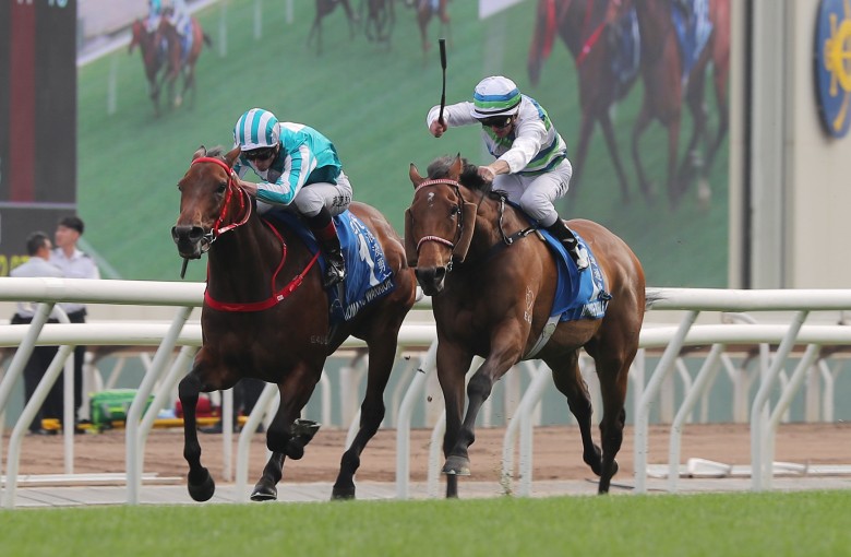Romantic Warrior (left) outduels Voyage Bubble in last year’s Group One Gold Cup (2,000m) at Sha Tin. Photo: Kenneth Chan