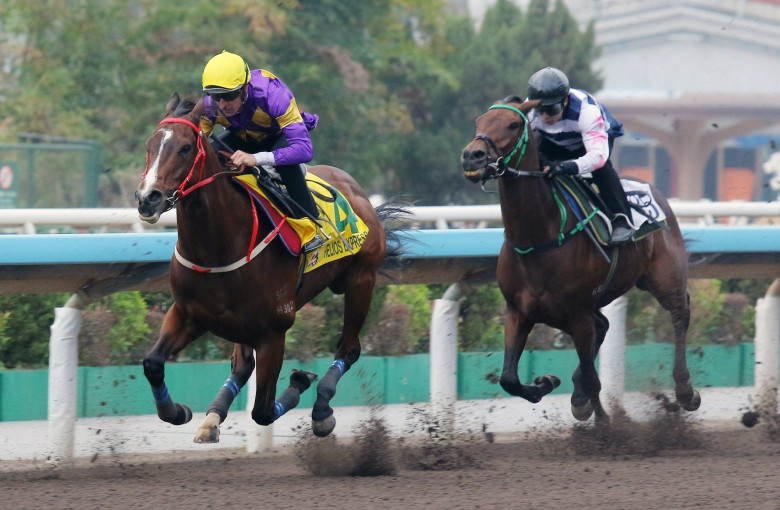 Helios Express (left) trials at Sha Tin on Thursday morning. Photos: Kenneth Chan