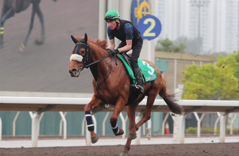 Giavellotto gallops on the Sha Tin dirt on Wednesday morning. Photos: Kenneth Chan