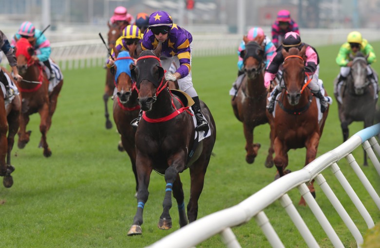 Stellar Express wins at Sha Tin in December. Photos: Kenneth Chan
