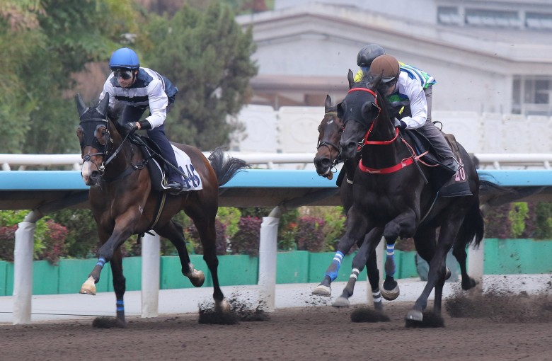 Winfield (left) trials at Sha Tin. Photos: Kenneth Chan
