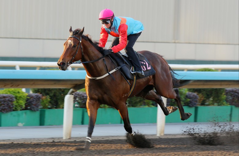 Ka Ying Rising trials impressively at Sha Tin. Photos: Kenneth Chan