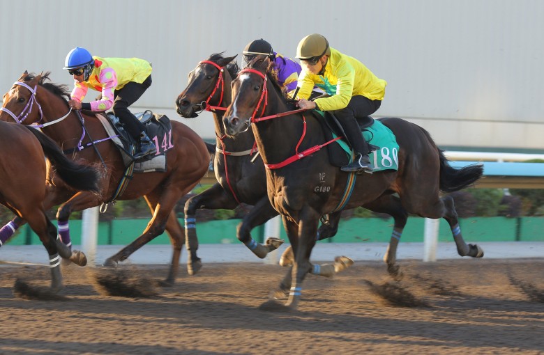 Lucky Sweynesse runs on for third in a recent dirt trial ahead of Sunday’s Stewards’ Cup. Photos: Kenneth Chan