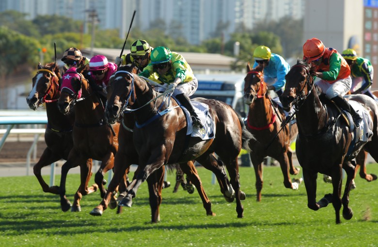 Sky Trust sticks his neck out at Sha Tin. Photos: Kenneth Chan