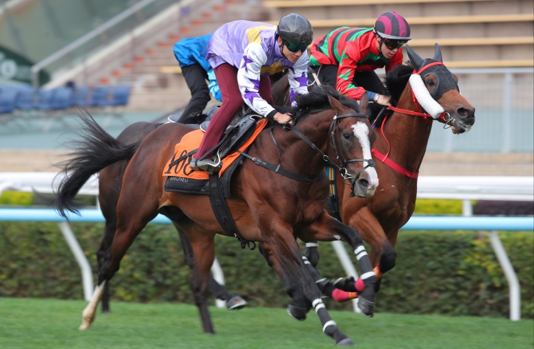 Seraph Gabriel in action in a recent Sha Tin trial. Photos: Kenneth Chan