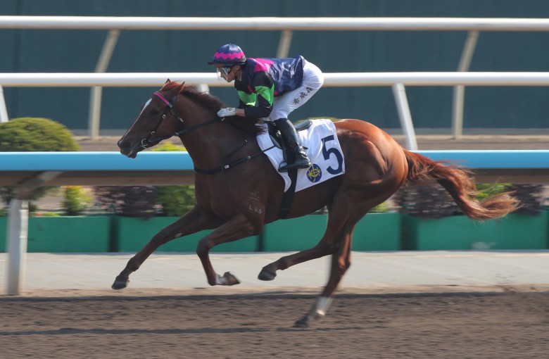 Supreme Sea wins on debut under Lyle Hewitson in January. Photos: Kenneth Chan