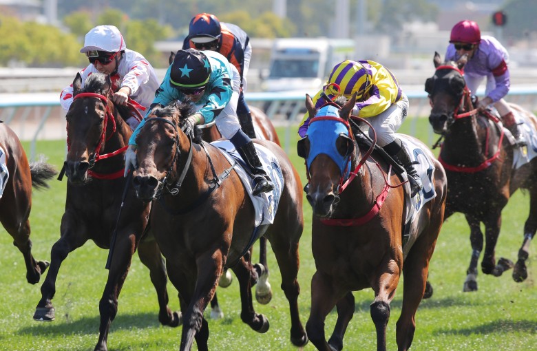 Turquoise Velocity ridden by Keith Yeung dead-heating with We Are Hero ridden by Jerry Chau. Photos: Kenneth Chan