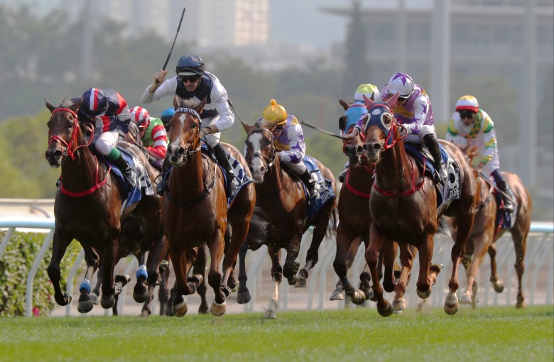 Numbers (inside) and Stormy Grove (outside) fill the placings behind Invincible Ibis in the Derby. Photos: Kenneth Chan
