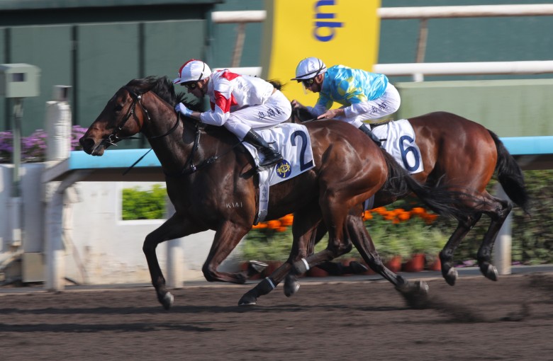 Magnifique and James Orman win a strong Class Three at Sha Tin. Photos: Kenneth Chan
