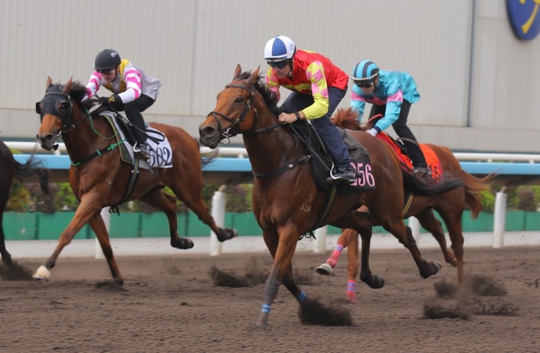 My Wish warms up for the Chairman’s Trophy with an impressive trial win under Hugh Bowman. Photos: Kenneth Chan