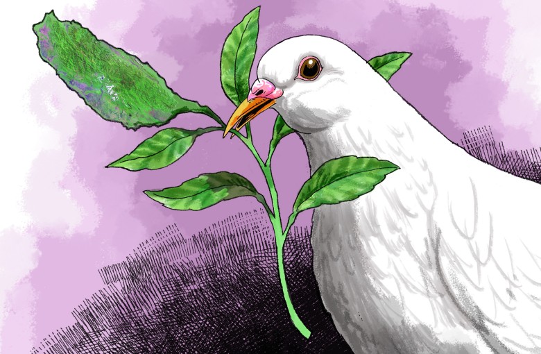 Illustration: Craig Stephens