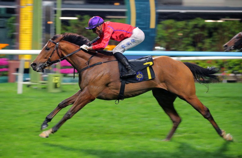 Fivefortwo, ridden by Luke Ferraris, wins at Happy Valley. Photos: Kenneth Chan