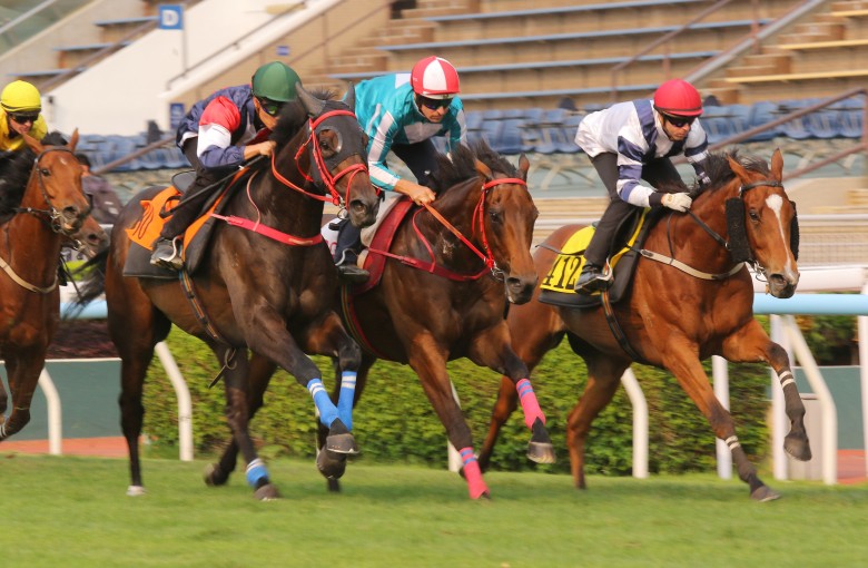 Romantic Warrior (centre), Numbers (left) and Rubylot (right) trial at Sha Tin. Photos: Kenneth Chan.