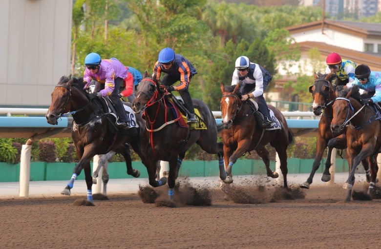 Little Paradise (inside) holds off Red Lion to win a Sha Tin trial on Thursday. Photos: Kenneth Chan