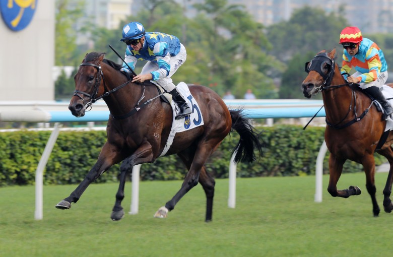 Gold Patch gives Zac Purton 100 wins for the season at Sha Tin. Photos: Kenneth Chan