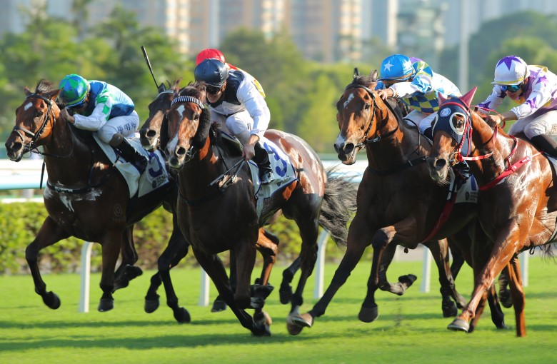Luke Ferraris lifts Invincible Ibis (centre) to victory in the Celebration Cup. Photos: Kenneth Chan
