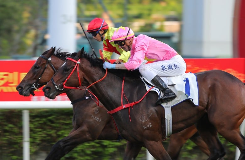 Sky Jewellery gets up on the outside of Hot Delight to narrowly win at Sha Tin on Thursday. Photos: Kenneth Chan