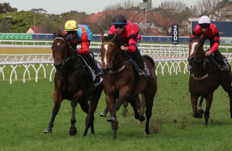 Ka Ying Rising trials ‘better than last year’ in key test ahead of The ...