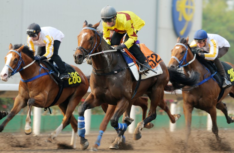 Zac Purton trials Southern Legend on Tuesday morning. Photos: Kenneth Chan