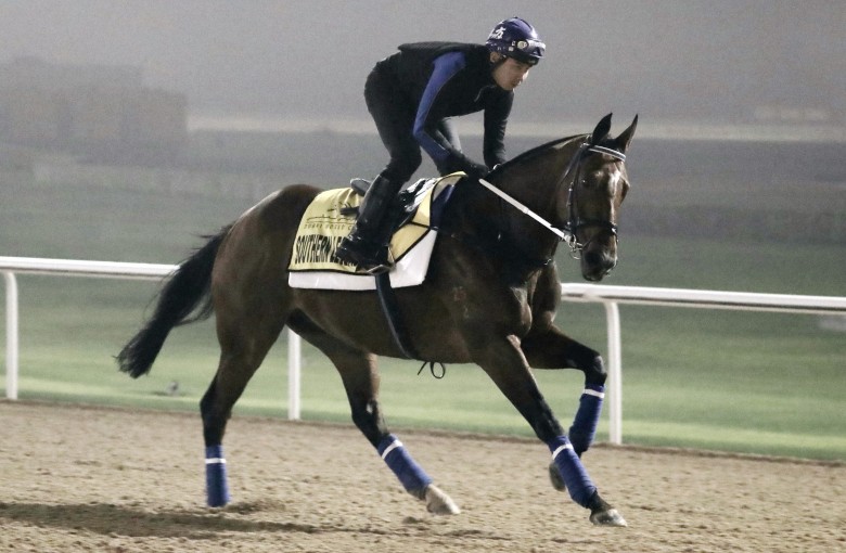 Southern Legend canters in the fog at Meydan on Friday morning. Photos: Kenneth Chan