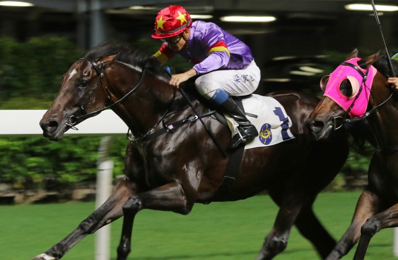 Derek Leung punches out Salto Olimpico at Happy Valley for his only Hong Kong win last year. Photos: Kenneth Chan