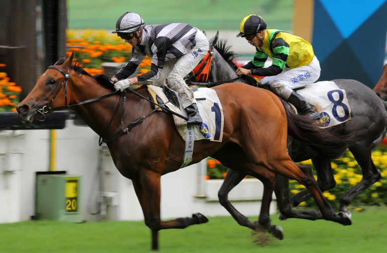 Little Giant lands his first Group success at Sha Tin on Sunday. Photos: Kenneth Chan
