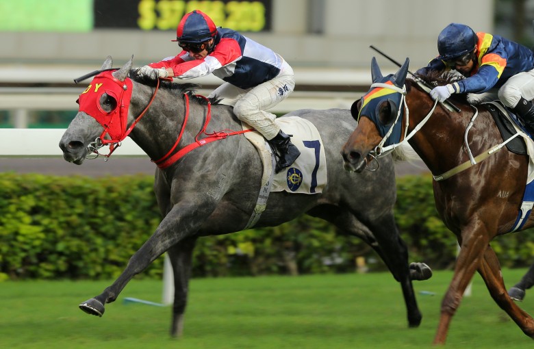 Racing Fighter hits the line to win at Sha Tin in June. Photos: Kenneth Chan