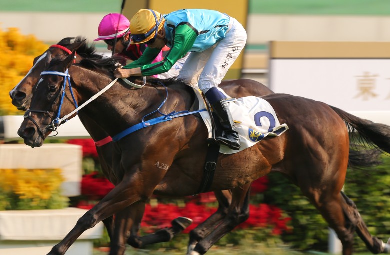 Rise High noses out Waikuku to win at Sha Tin on Sunday. Photos: Kenneth Chan