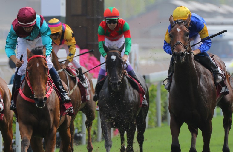 Global Superstars Headline Entries For Hong Kong International Races Hk Racing South China Morning Post