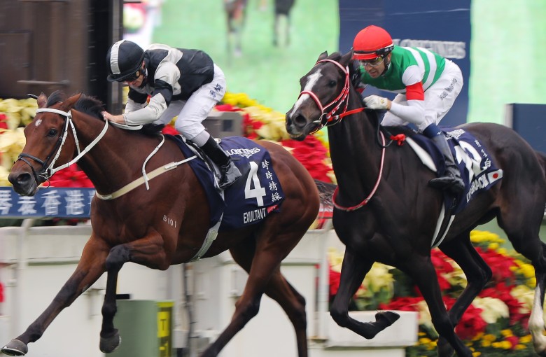 Exultant (inside) edges out Lys Gracieux to win the Group One Hong Kong Vase (2,400m) in December. Photos: Kenneth Chan