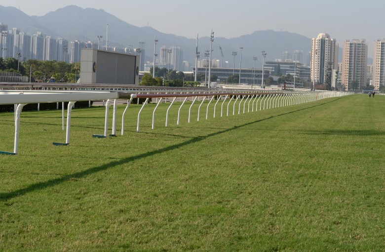 Life inside Sha Tin racecourse has continued as chaos reigns outside. Photo: Kenneth Chan