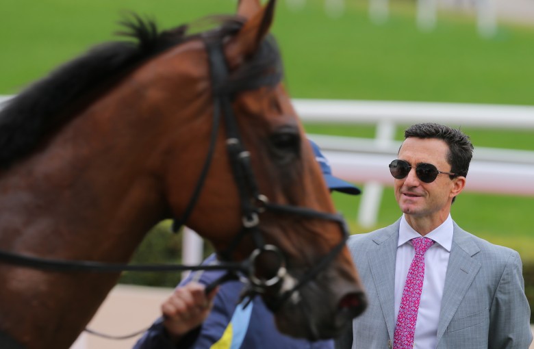 Douglas Whyte inspects debut winner Xponential at Sha Tin on Saturday. Photos: Kenneth Chan