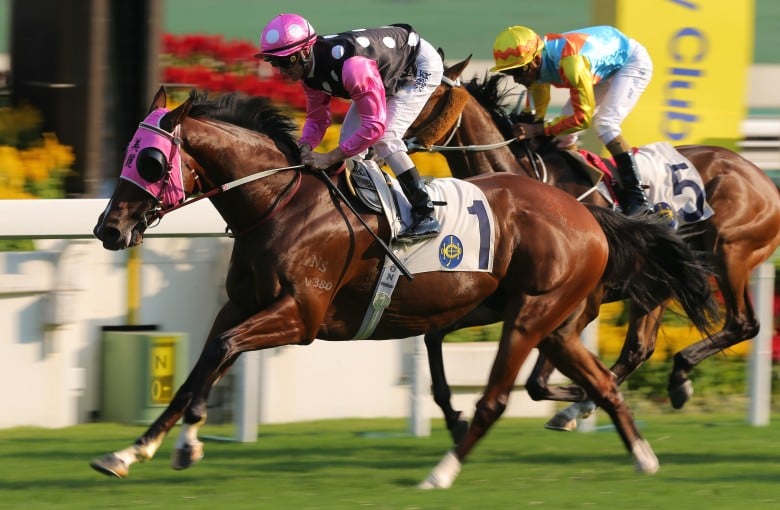 one generation horse