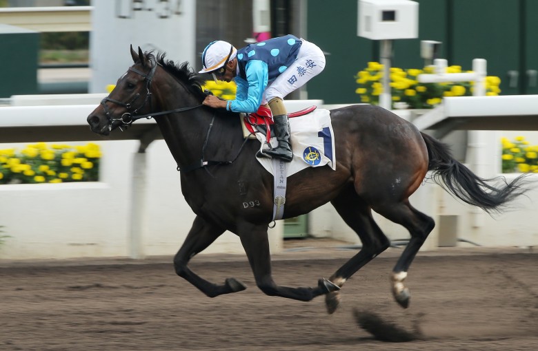 Will Power hits the line under Karis Teetan to win in January. Photos: Kenneth Chan