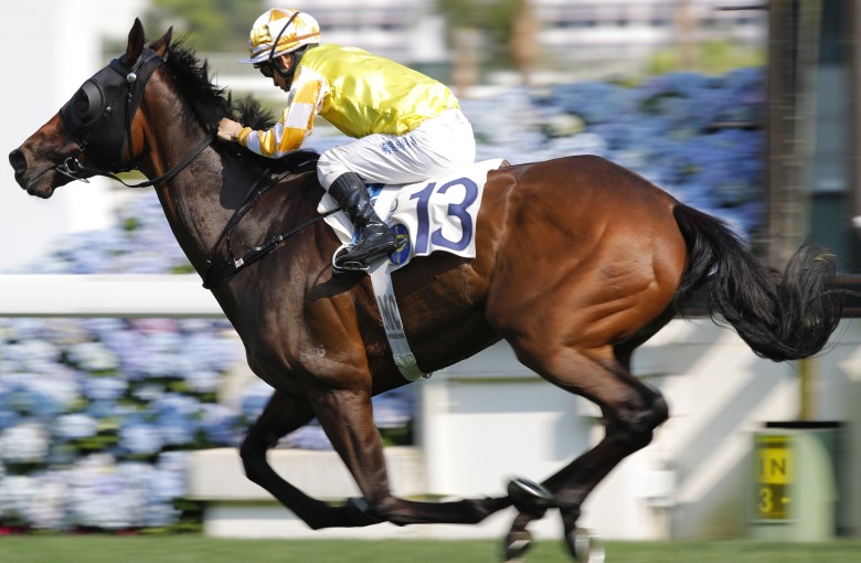 London Hall salutes at Sha Tin last month. Photos: Kenneth Chan