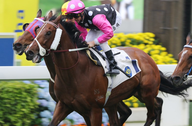 Beauty Generation wins at Sha Tin this season. Photos: Kenneth Chan