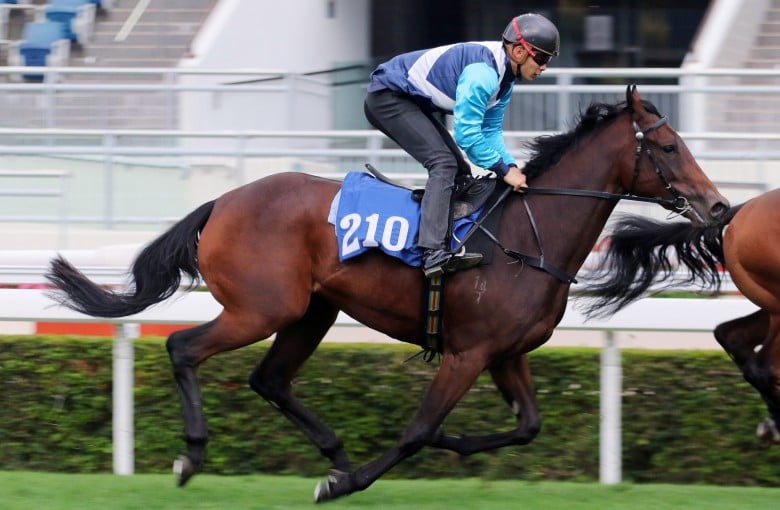 What Can Punters Expect From The First Two Year Old Filly To Race In Hong Kong For 16 Years Hk Racing South China Morning Post