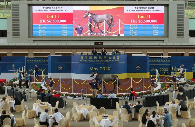 Jockey Club Suffers A Loss At The Hong Kong International Sale As Pakistan Star S Owner Buys Top Lot Hk Racing South China Morning Post