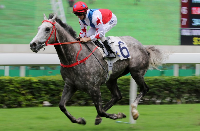 Big Party wins comfortably at Sha Tin. Photos: Kenneth Chan
