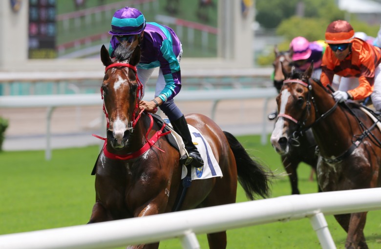 Winning Dreamer surges to victory at Sha Tin in May. Photos: Kenneth Chan