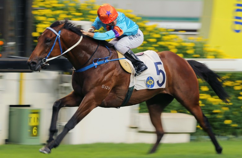 Dances With Dragon bolts clear in the Group Three Premier Plate (1,800m) at Sha Tin. Photo: Kenneth Chan