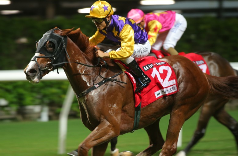Abnormally testicles': horse rejected from Hong goes on sale HK Racing | South China Morning Post