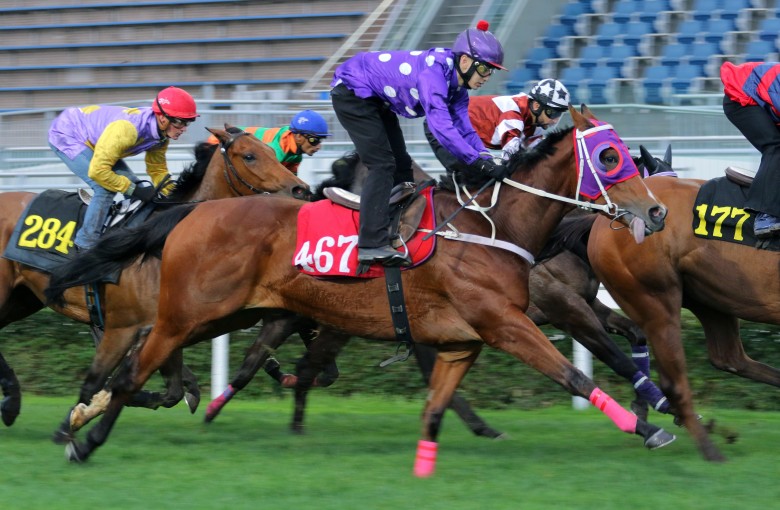 Five Facts For Happy Valley Who Are The Last Three Jockeys To Ride Sun Sun Fa Fa Hk Racing South China Morning Post
